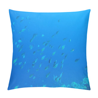 Personality  Tropical Fish In Blue Sea Water. Coral Reef Fish School Underwater Photo. Tropical Sea Snorkeling Or Diving Banner Template Pillow Covers