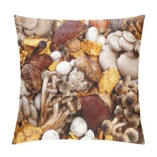 Personality  Assorted Collection Of Fresh Mushrooms Pillow Covers