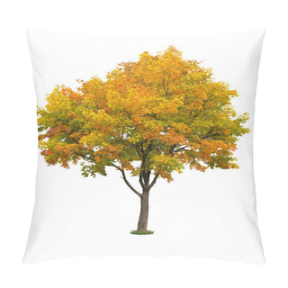 Personality  Autumn Tree Isolated Pillow Covers