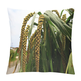 Personality  Mature Millet In The Farmland Pillow Covers