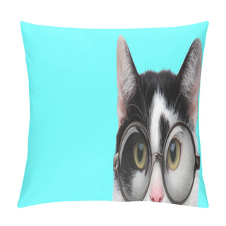 Personality  Nerdy Funny Metis Cat Wearing Eyeglasses With Only Half Of Face Exposed On Blue Background Pillow Covers