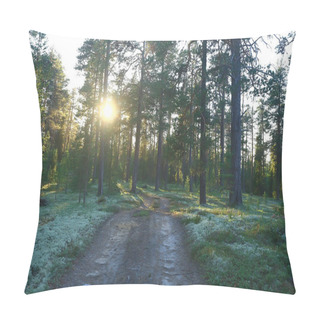 Personality  Beautiful Pine Forest. Taiga, Virgin Forest, Summer Landscape Background Pillow Covers