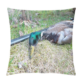 Personality  Trophy Hunter: Wild Duck Lying On The Grass. Pillow Covers