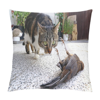 Personality  A Cat Has Caught A Bird Pillow Covers