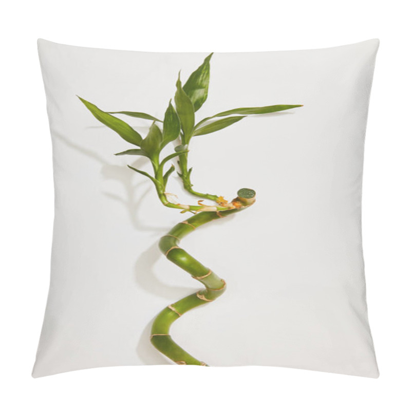 Personality  top view of green bamboo stem with leaves on white background pillow covers