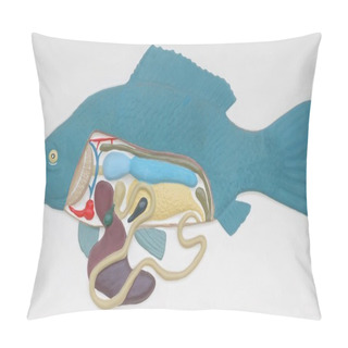 Personality  School Fish Moulage Pillow Covers