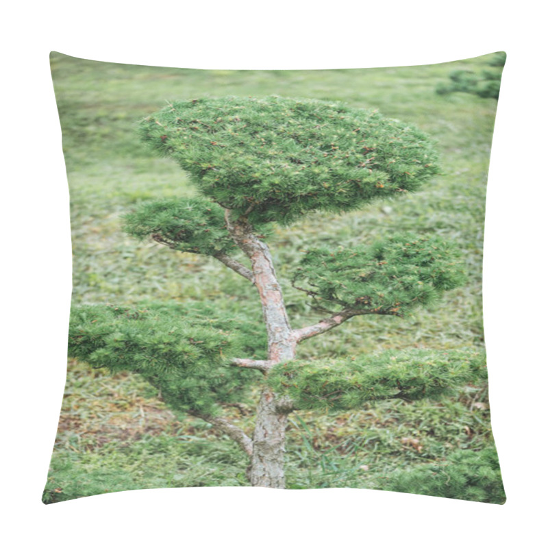 Personality  evergreen small pine tree ion meadow with grass pillow covers