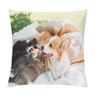 Personality  Dog Lying On White Blanket Near Pillows On Green Lawn And Feeding Puppies Pillow Covers