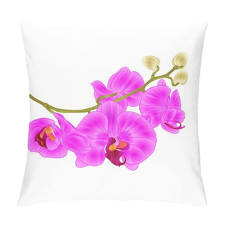 Personality  Branch Orchids Flowers  Purple Phalaenopsis Tropical Plant  Stem And Buds  Vintage Vector Botanical Illustration For Design Pillow Covers