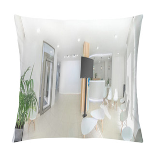 Personality  Panorama Of A Bright Reception And Waiting Room In A Clinic With Desk, Modern Chairs And Plants. Indoor Mockup With Screen With Copy Space. Pillow Covers