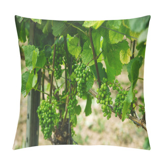 Personality  Grapes Pillow Covers
