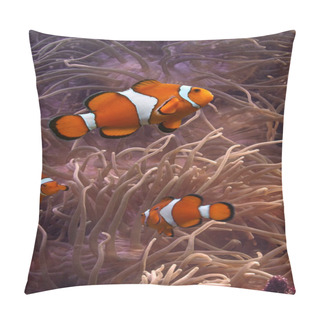 Personality  Clownfish - Tropical Fishes Pillow Covers