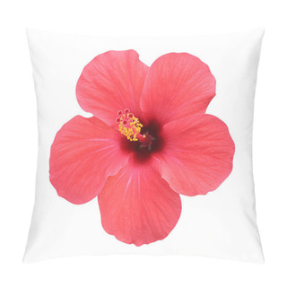 Personality  Hibiscus Flower - Isolated, Path Pillow Covers