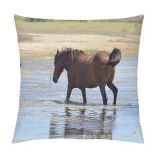 Personality  Portrait Of Nice Horse Danube Delta, Romania Pillow Covers