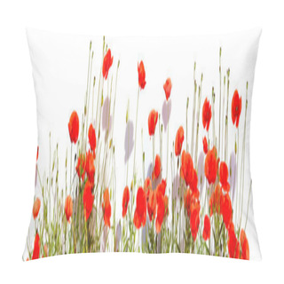Personality  Extra Large Horizontal Frame Of Poppies Isolated On White Backgr Pillow Covers