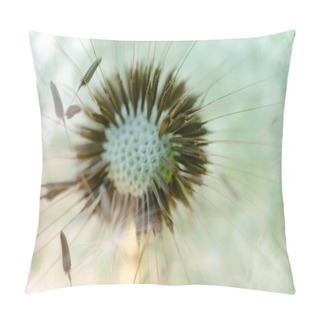 Personality  Macro Photo Of Dandelion. Pillow Covers