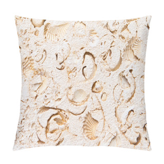 Personality  Full Frame Limestone With Embedded Fossils Pillow Covers