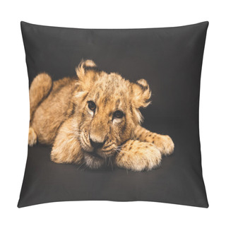 Personality  Cute Lion Cub Lying Isolated On Black Pillow Covers
