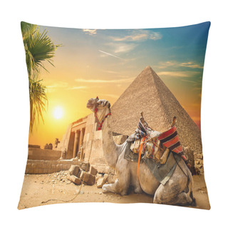 Personality  Camel Rests Near Ruins Pillow Covers
