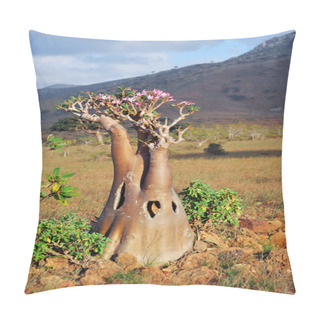 Personality  Socotra Island Pillow Covers