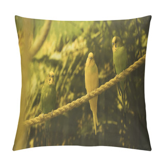 Personality  Wild Parrots Sitting On Rope With Blurred Foreground  Pillow Covers