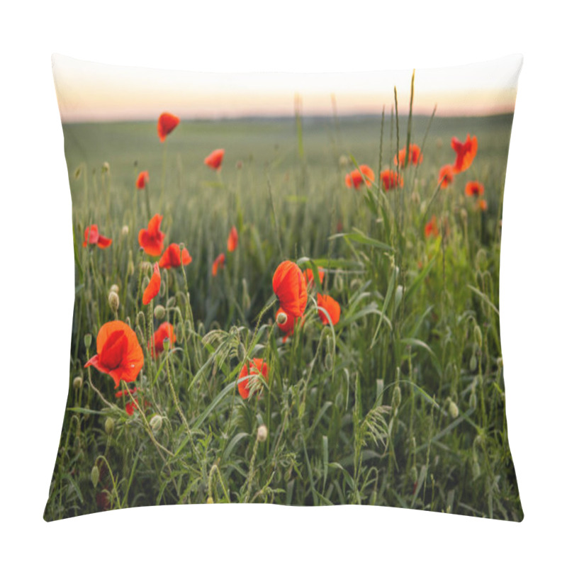 Personality  Wild Red Summer Poppies In Wheat Field. Meadow Of Wheat And Poppy. Nature Composition Pillow Covers