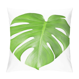 Personality  Big Green Leaf Of Monstera Plant With Water Drops Isolated On White Pillow Covers