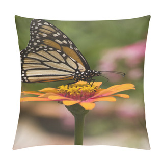 Personality  Monarch Butterfly Pillow Covers