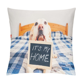 Personality  It Is My Home Pillow Covers