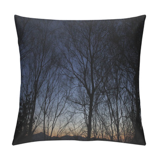 Personality  Tree In An Urban Park Pillow Covers