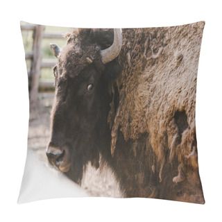 Personality  Close Up View Of Wild Bison At Zoo Pillow Covers