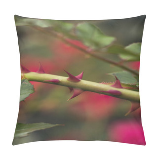 Personality  Sprig With Spikes On Background Of Greens.Selective Focus, Toned Image, Film Effect, Macro Pillow Covers