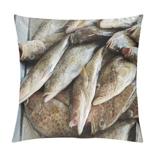 Personality  Lots Of Epinephelus Marginatus Fishes On The Ice Tray. Pillow Covers