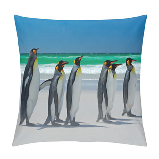Personality  Group Of King Penguins Pillow Covers