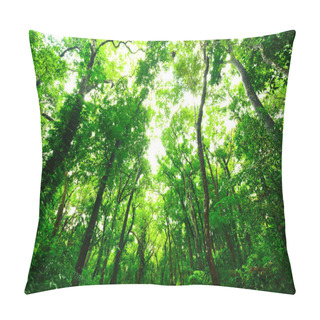 Personality  Green Forest In The Morning Pillow Covers