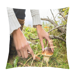 Personality  Young Mushroom Picker In The Bavarian Alps Pillow Covers