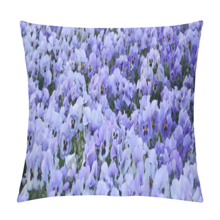 Personality  Close Up Blue And Violet Pansies In The Garden. Seasonal Natural Photo Pillow Covers