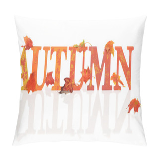 Personality  Autumn Letters With Leaves Pillow Covers