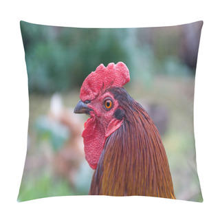 Personality  Rooster Head Pillow Covers