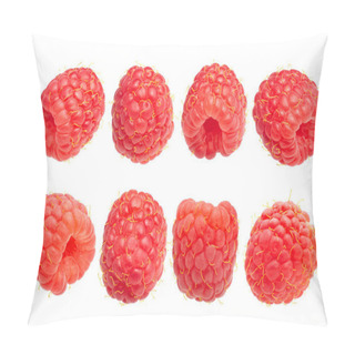 Personality  Raspberry R. Idaeus Fruits, Paths Pillow Covers