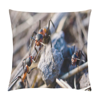 Personality  Forest Ant Pillow Covers