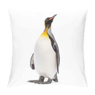 Personality  King Penguin Looking Up, Isolated On White Pillow Covers