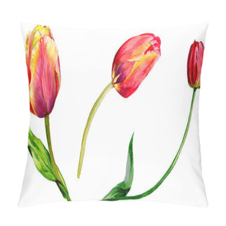 Personality  Amazing Red Tulip Flowers With Green Leaves. Hand Drawn Botanical Flowers. Watercolor Background Illustration. Isolated Red Tulips Illustration Element. Pillow Covers