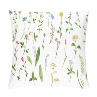 Personality  Set Of Watercolor Drawing Herbs And Flowers Pillow Covers