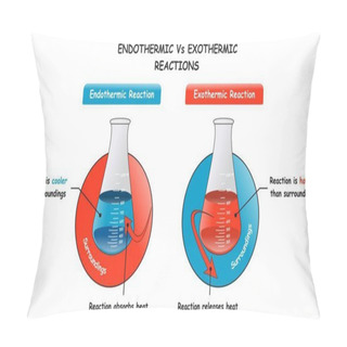 Personality  Endothermic Vs Exothermic Reactions Infographic Diagram Showing A Comparison Between Them And Major Differences Of Absorbing And Releasing Heat For Chemistry Science Education Vector Pillow Covers