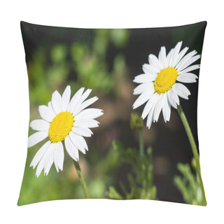 Personality  Two Daisies Closeup Pillow Covers