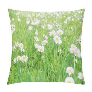 Personality  Daisy Meadow Pillow Covers