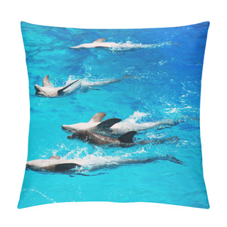 Personality  Five Dolphins Beautifully Floating On Their Backs. Pillow Covers