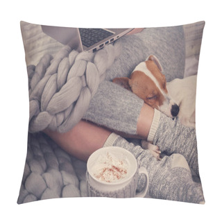 Personality  Cozy Home, Warm Blanket, Hot Drink, Movie Night. Dog Sleeping On Female Feet. Relax, Carefree, Comfort Lifestyle. Pillow Covers