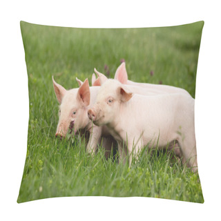 Personality  Piglets On Grass Pillow Covers